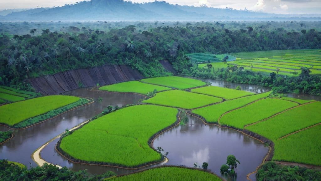 Indonesia Launches Relief Program for Farmers Affected by Sumatra Floods